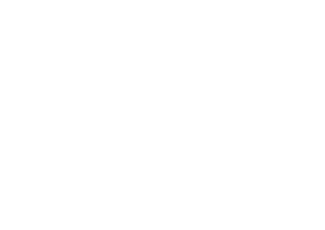 Avada Freelancer Logo